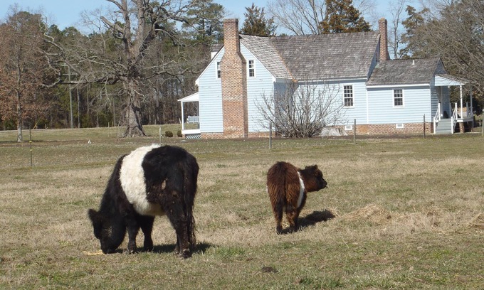 Wakefield Other | Exquisite Farm-Stay with Oceanfront Views & Family Amenities