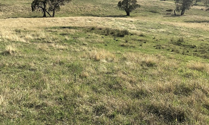 Adaminaby Other | Inviting Farm Stay in the Scenic Snowy Mountains