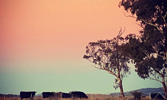 O'connell House | Enchanting Farm Stay Near Bathurst with Breathtaking Views