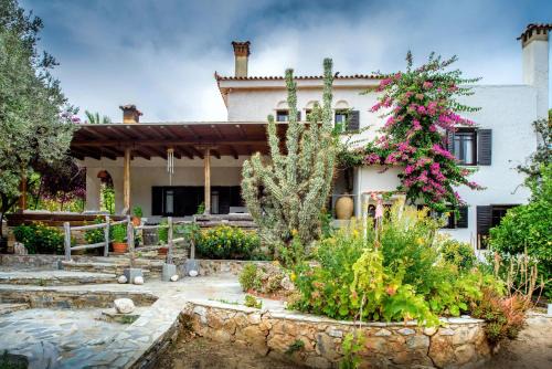 Karystos Villa | Exceptional Farm Villa Dova: Pet-Friendly Oceanfront Retreat