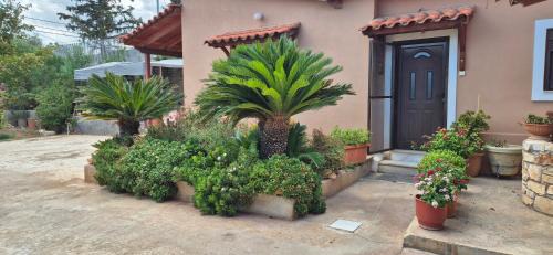 Paiania Apartment | FarmHouse near Airport