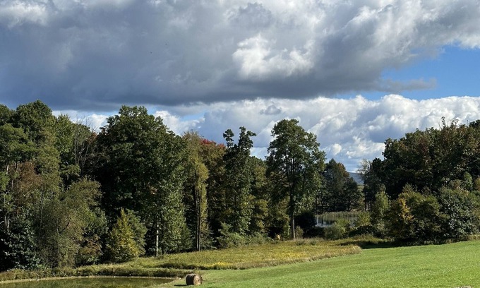 Brush Valley Other | Enchanting Farmhouse Retreat with Natural Springs & Family Fun