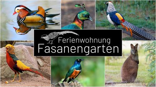 Traunreut Apartment | Top Rated Fasanengarten: Family & Pet Friendly Retreat