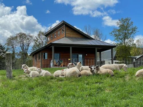 Hartland Four Corners House | Top-Rated Fat Sheep Farm & Cabins with Family-Friendly Amenities