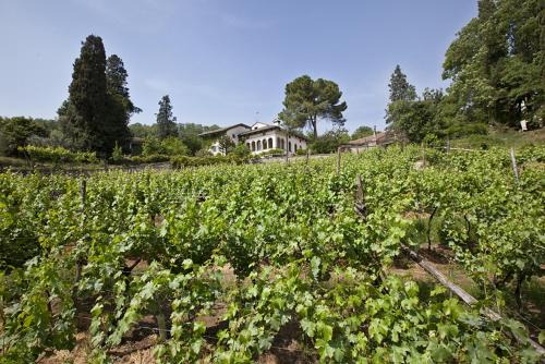 Arcugnano House | Idyllic Fattoria Le Vegre: Oceanfront Retreat with 9.6 Rating