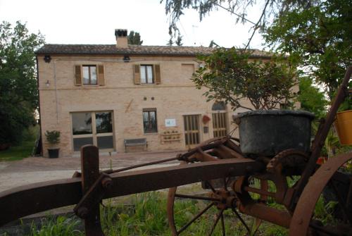 Appignano Bed & Breakfast | Discover Fattoria Nonno Neno B&B: 10/10 Guest Rated Retreat