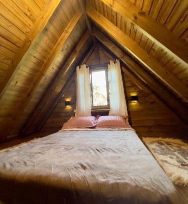 Sao Luiz do Puruna Other | Fazenda Cerro do Puruna