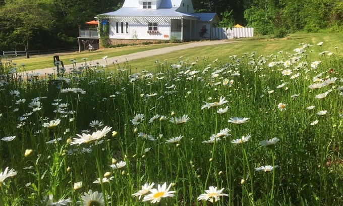 Hendersonville Other | Ideal Featherstone FARMHOUSE for Groups Near Hville