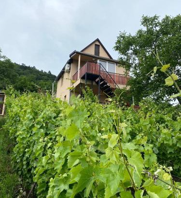 Satoraljaujhely Apartment | Pet-Friendly Retreat at Fehér Szőlő Vendégház - Guest Rated 8.6