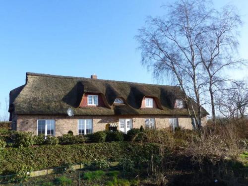Wennbuttel Apartment | Felderblick unten