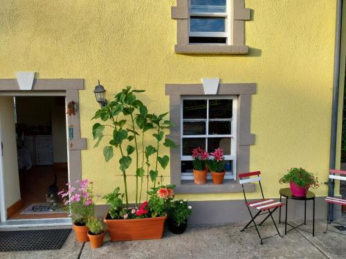 Kiltegan Bed & Breakfast | Felicity Cottage: Guest Rated 9.9 & Pet Friendly Retreat