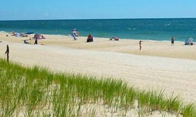 Fenwick Island Hotel | Family-Friendly Fenwick Islander Motel with Pool & Dining