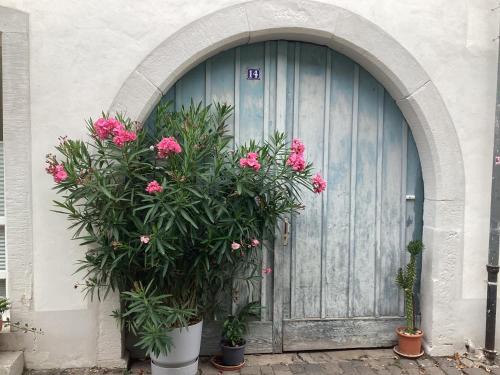 Deidesheim House | Family-Friendly Ferienhäuschen am Heumarkt - Rated 8.4/10