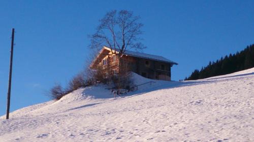 Hippach House | Top-Rated Ferienhütte Georg: Pet-Friendly Family Retreat