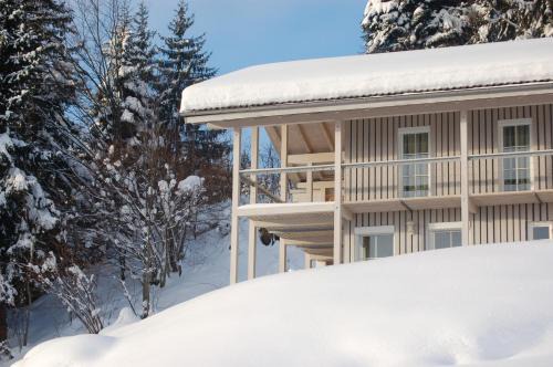 Grossdorf House | Top-Rated Ferienhaus Albrecht with Hot Tub & Fireplace
