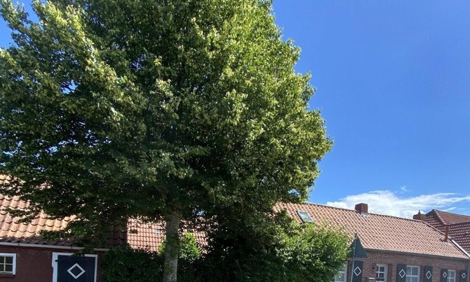 Rysum House | Ferienhaus für 4 Gäste mit 60m² in Krummhörn-rysum