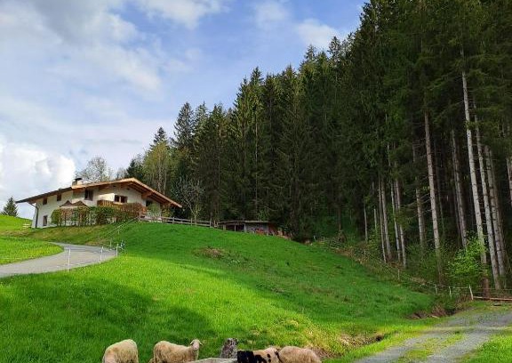 Going am Wilden Kaiser Apartment | Child-Friendly Retreat at Ferienhaus Hansl - 4 Star Stay