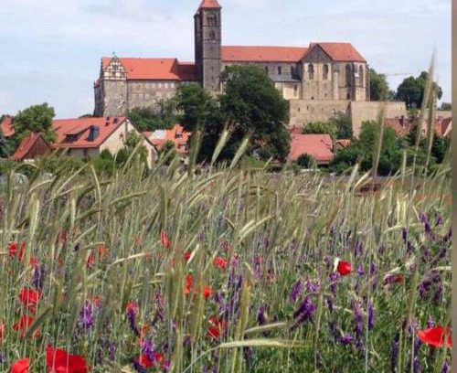 Ballenstedt Apartment | Delightful Ferienhaus Harzvorland: 9.3/10 & Pet Friendly