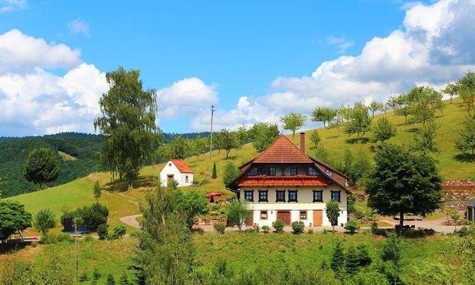 Oberharmersbach Apartment | Family-Friendly Ferienhaus Hubhof with Pool & Breakfast