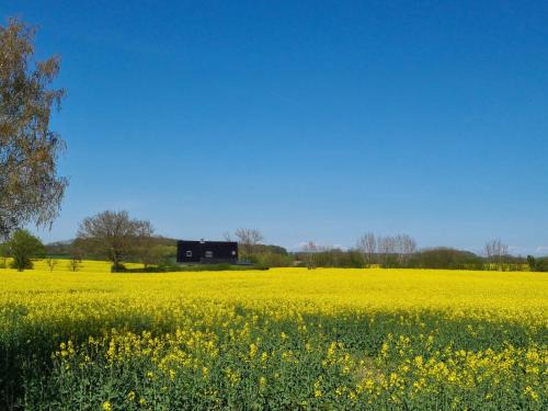 Schnarup-Thumby House | Top-Rated Ferienhaus Loimoos with Hot Tub & Pet-Friendly