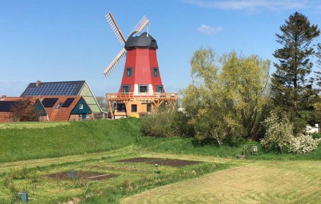 Beidenfleth House | Discover Ferienhaus Mühle "Neue Hoffnung": Guest Rated 9.3