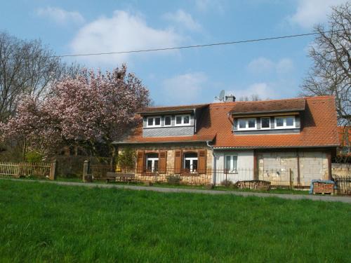 Frankisch-Crumbach Apartment | Idyllic Vacation Home with Garden in Odenwald - 10/10 Rating
