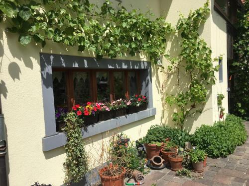 Andelfingen District House | Cozy Holiday Homes in Switzerland - Child Friendly Getaways