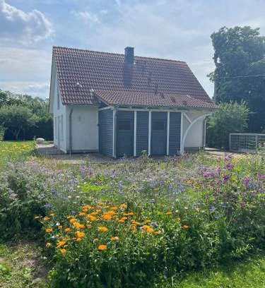 Warnkenhagen Apartment | Family-Friendly Retreat at Ferienhaus Muschel - 8.2/10 Rating