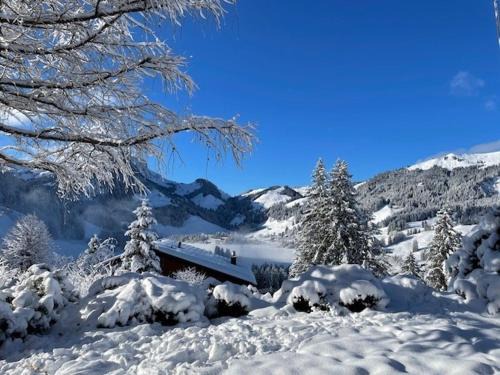 Schwarzsee House | Relaxing Family Getaway at Ferienhaus Relax Hotel