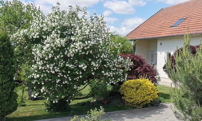 Traitsching Apartment | Relaxing Retreat at Ferienhaus Ruhe Oase in Bavarian Forest