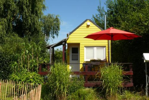 Visselhoevede House | Experience Ferienhaus Tiny Löwenzahn: Pet-Friendly Retreat