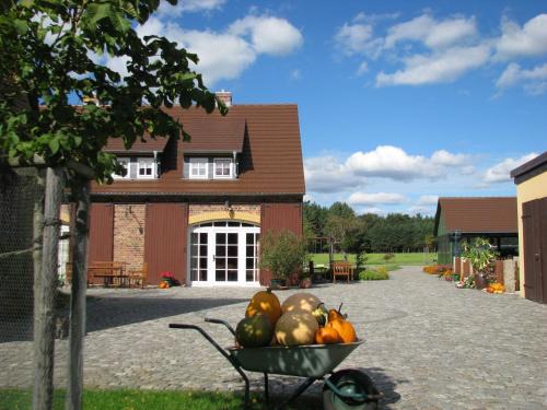 Klitten Apartment | Pet-Friendly Getaway at Ferienhof Erlengrund - 4 Stars