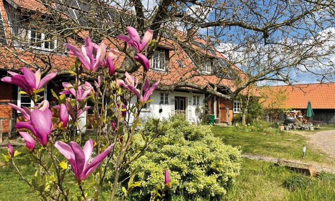 Wittendorp Apartment | Discover Ferienhof Rauchhaus: Pet-Friendly Family Retreat
