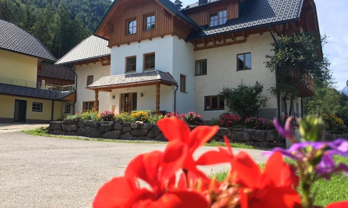 Hinterstoder House | Pet-Friendly Escape at Ferienhof Rinnergut: 10/10 Rated