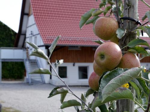 Waggershausen Apartment | Family-Friendly Getaway at Ferienhof Waggershauser