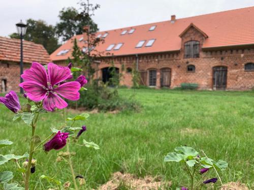 Letschin Apartment | Discover Ferienhof Weitblick: Oceanfront Getaway Awaits