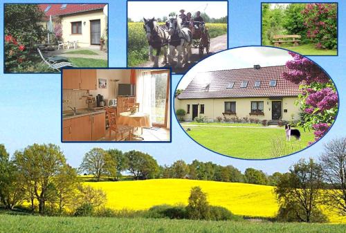 Frauenmark Apartment | Family-Friendly Retreat at Ferienhof Winther 1