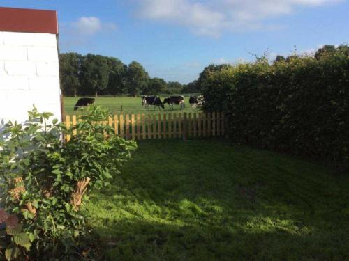 Leer House | Family-Friendly Ferienhuus Schwalbennüst with Pets Welcome