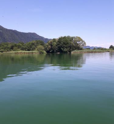 Steindorf am Ossiacher See Apartment | Oceanfront Retreat at Ferienwohnung Kamot – Guest Rated 8/10
