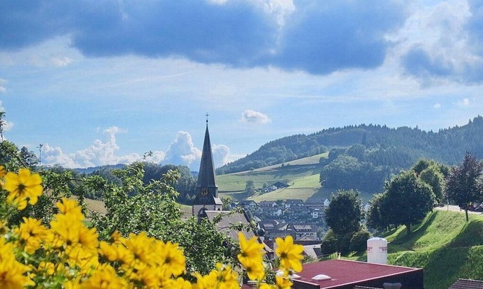 Bad Peterstal-Griesbach Apartment | Scenic Ferienwohnung am Kapellenberg with Ocean View
