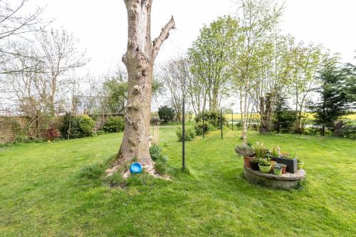 Wesselburener Deichhausen Apartment | Ferienwohnungen Nordlicht u Ostwind