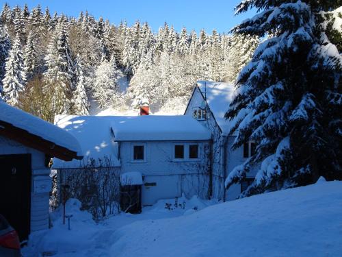 Schmiedefeld am Rennsteig Apartment | Oceanfront Retreat: Ferienwohnung Bauer Alter Hammer