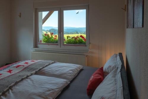 Meuselbach-Schwarzmuhle Apartment | Ferienwohnung FUCHSBAU im EG des Ferienhauses Falkenhöhe