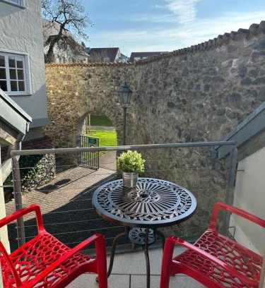 Radolfzell am Bodensee Apartment | Discover Family-Friendly Ferienwohnung Stadtgarten Retreat