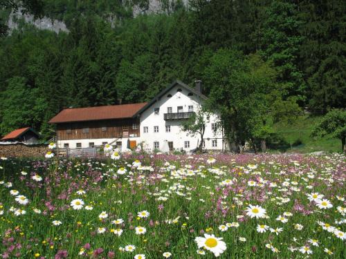 Golling an der Salzach Apartment | Family-Friendly Ferienwohnung Bluntaumühle – Rated 9.4/10
