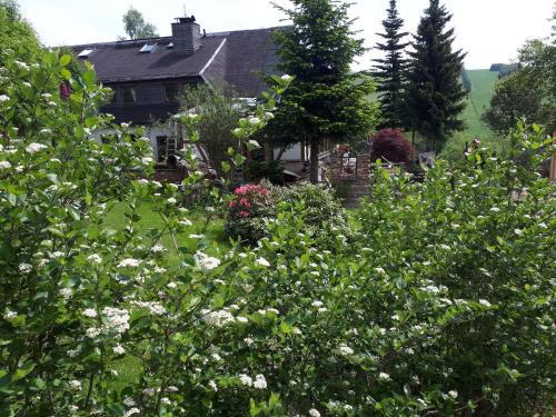 Oberwiesenthal Apartment | Ferienwohnung Aronia Garten