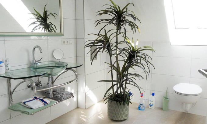 Pfrondorf Apartment | Ideal Ferienwohnung 1A with Sonnenterrasse and Kitchen