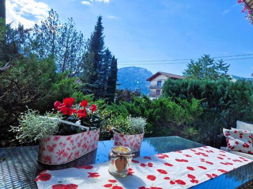 Oberdorf Apartment | Pet-Friendly Oceanfront Apartments in Germany - 4-Star Quality