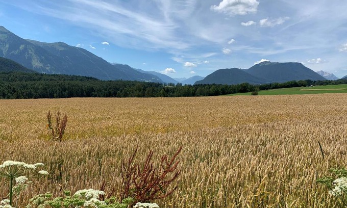 Wildermieming Apartment | Cozy Ferienwohnung am Bauernhof: 9.5/10 & Family-Friendly