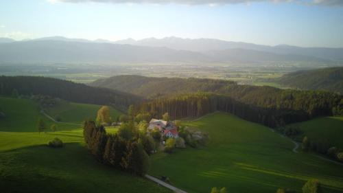 Eppenstein Apartment | Relaxing Retreat at Bio-Bauernhof Brandner with Ocean Views